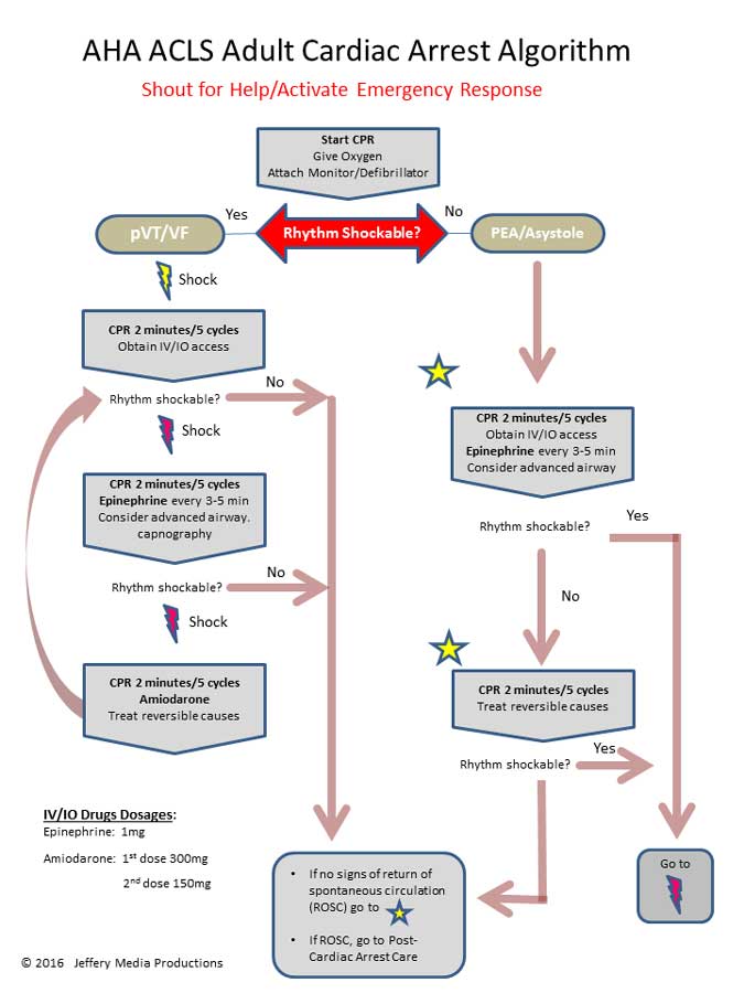 Aha Acls Algorithms 2024 Printable Pdf - Kori Shalna