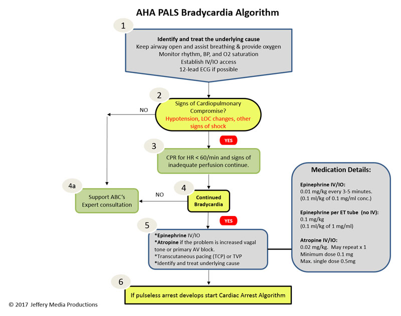 Pals Bradycardia Algorithm Learn Master Pals