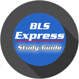 BLS Child Cardiac Arrest