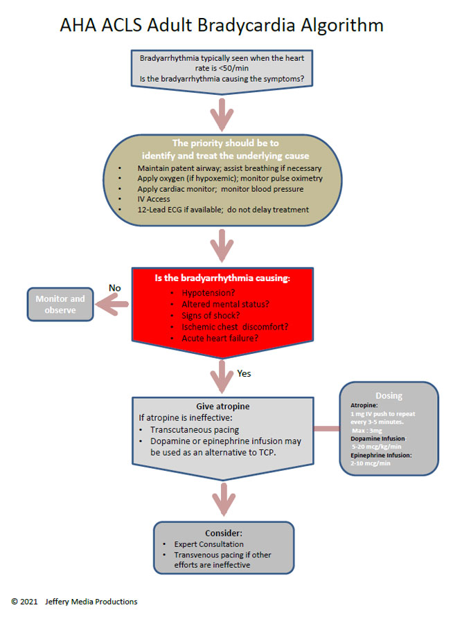 acls algorithms