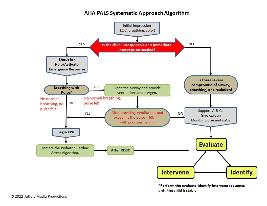 pals-systematic-approach-algorithm