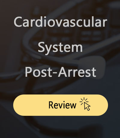 cardiovascular system post-cardiac arrest
