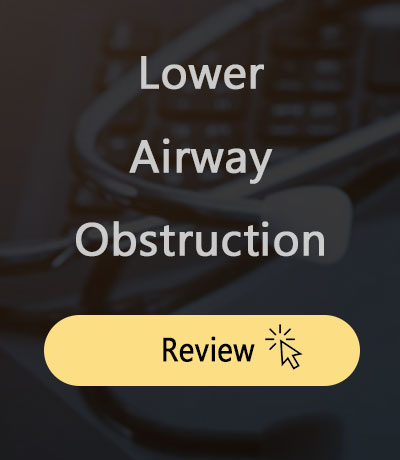 lower airway obstruction